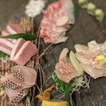 男前料理と五島列島直送の魚 神保町 無花果 - おまかせお造り
