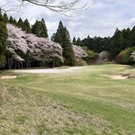 Shin Chiba Kantorikurabu - 桜舞い散る、舞い上がるグリーン