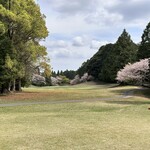 Shin Chiba Kantorikurabu - コース内には所々に桜が