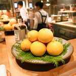 SUGALABO - 宮崎日向夏