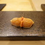 あま木 - 三河の赤貝