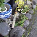 禅風亭なゝ番 - 外観