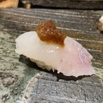 まき田鮨 - こち