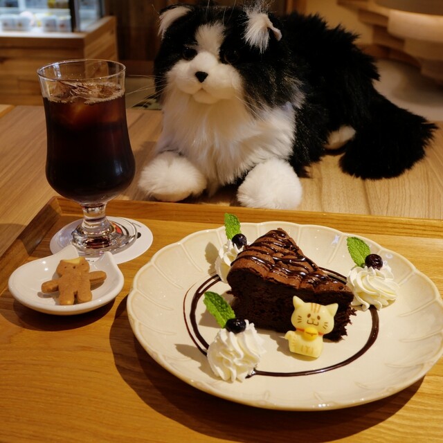 cafe to Neko Zakka Neko Katton