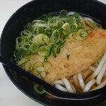 天政 - 天ぷらうどん