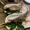 小川の魚