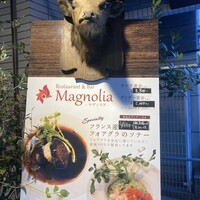 Magnolia - 