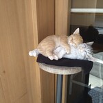 ラーショマルミャー - (^^)