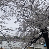ルーキスガーデン 上野店 - 