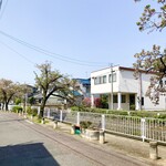 まる博 - 先週だったら綺麗だっただろう桜