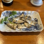 Shirahama Zushi - 