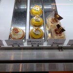 シャロン - ショーケース：2024/04/13  16:46