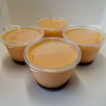 シャロン - プリン：2024/04/13