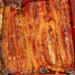 池之端　柏家 - 