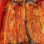 池之端　柏家 - 