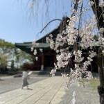 甘味処かなやまや - 呑龍様。ちょっと葉桜なってる。