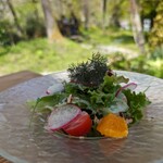 cafe Karin　果林 - 