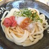 はなまるうどん - 明太おろししょうゆ、中盛、冷