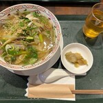 Touhou Bijin - グリルチャーシューとネギのスープ麺