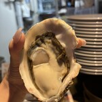 Oyster Bar ジャックポット - 