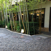 葉山 日影茶屋 - お庭