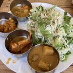 ヴェヌス サウス インディアン ダイニング - カレーとサラダ