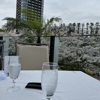 ハルヤマシタ 東京本店 - 