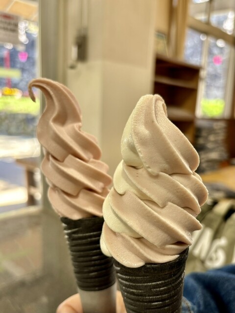 白石城歴史探訪ミュージアム（レキシタンボウミュージアム） - 白石（その他）の写真