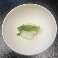 柚木元 - コシアブラ