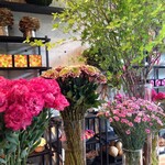 Nicolai Bergmann NOMU aoyama - 