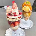 ASAKO IWAYANAGI FUKUOKA - 