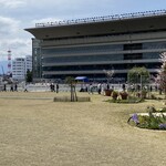 福島路ビール 福島競馬場店 - コース内のイベント広場から迫力のメインスタンド（客席）を望む