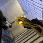 天空の小悪魔 - 