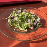 イル バーカロ アルマ - 