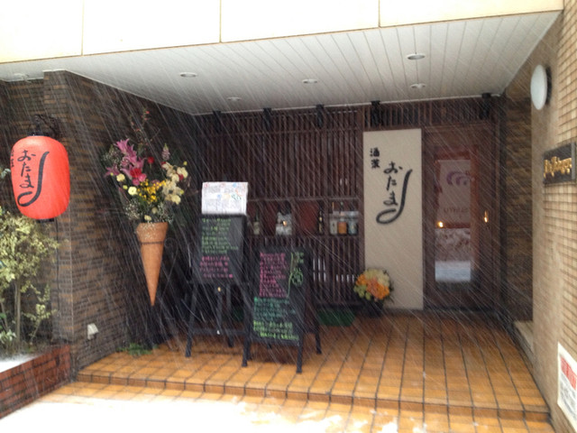 Shusai Otama photo 3