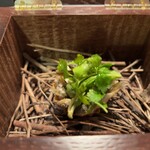 Installation Table ENSO L'asymetrie du calme - 