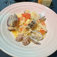 セルサルサーレ - 