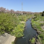 Sanchiya - 大場川と桜