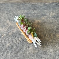 レヴォ - ⑧氷見の真アジ うど オリーブ フィユタージュ ディル ナスタチウム エディブルフラワー