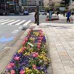 トシ・ヨロイヅカ 東京 - 