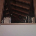 みんなのコーヒー - 正紀ガスさんの扱ってるエムズサウンドシステムノスピーカーhttp://www.seikigas.com/mssound/mssoundlineup.html