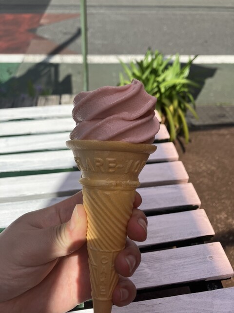 Oyatsu no Mise Chiisai Mikan no Ki