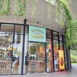 Maison Marou Café - 
