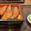 Unagi No Toyokawa - 