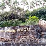 カフェ トスティーナ - 