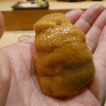 鮨 つきうだ - ムラサキウニ