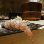 鮨 つきうだ - 車海老