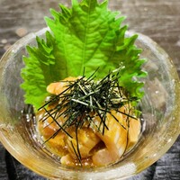 かんない 諸星 - 