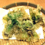 天ぷら処 こさか - ふきのとうの天ぷら（２０１４年２月）