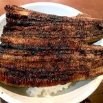 田代 - 丼で豪快に